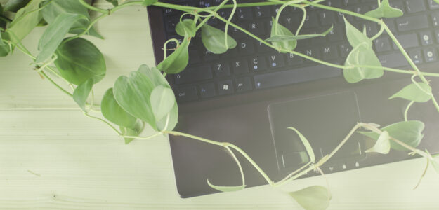 Eric Kooijman Webdesign