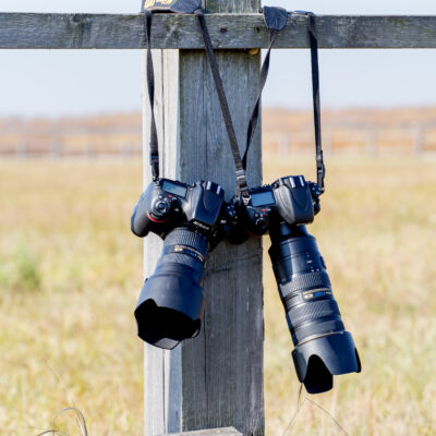 Film en fotografie